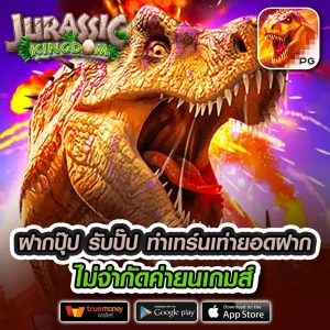 ottonew usa เว็บตรง